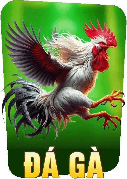 69vn đá gà