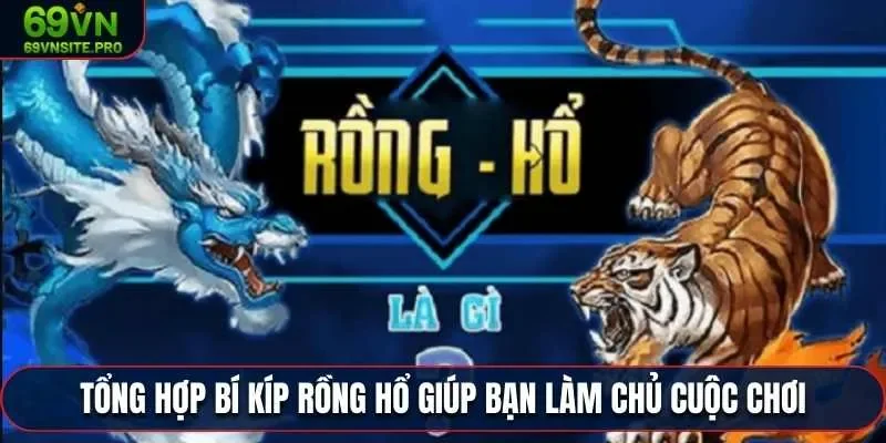 Áp dụng ngay các bí kíp trò chơi Rồng Hổ từ các cao thủ 69VN