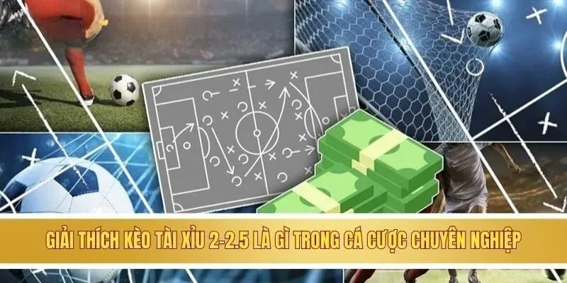 Kèo Tài Xỉu 2-2.5 Là Gì? Bật Mí Mẹo Chơi Cực Chuẩn 4 kèo tài xỉu 2-2.5 là gì