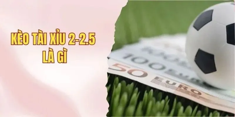 Kèo Tài Xỉu 2-2.5 Là Gì? Bật Mí Mẹo Chơi Cực Chuẩn 1 Giải thích kèo tài xỉu 2-2.5 là gì trong cá cược chuyên nghiệp
