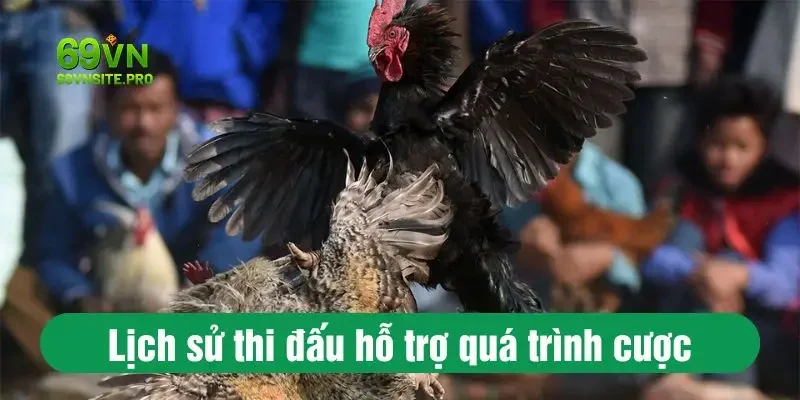 Tổng Hợp Đá Gà Campuchia Mới Nhất Chỉ Có Tại 69VN 3 Lịch sử thi đấu hỗ trợ quá trình cược chọi gà