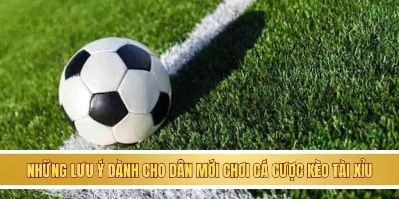 Kèo Tài Xỉu 2-2.5 Là Gì? Bật Mí Mẹo Chơi Cực Chuẩn 3 Những lưu ý dành cho dân mới chơi cá cược kèo tài xỉu